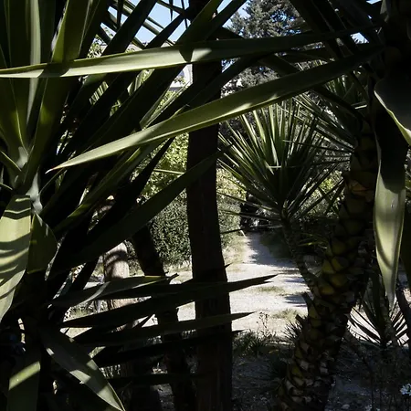 Le Tre Sorelle باري