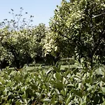 Lägenhet Le Tre Sorelle