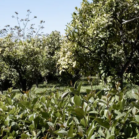 Appartement Le Tre Sorelle