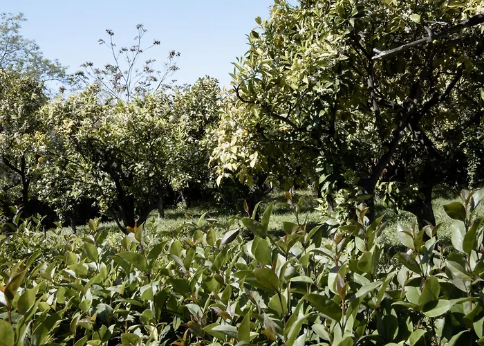 Apartment Le Tre Sorelle